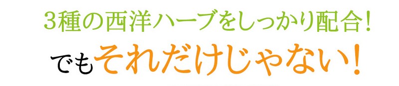 �h�N�^�[�Y�T�v�������g�y�Y�c�m��Dr.�z���T�C�g